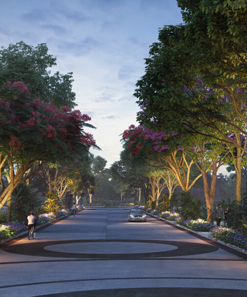 Tree-lined street